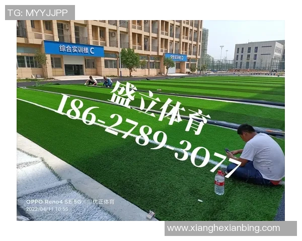 人造足球场造价分析及影响因素探讨，助您合理预算与投资决策